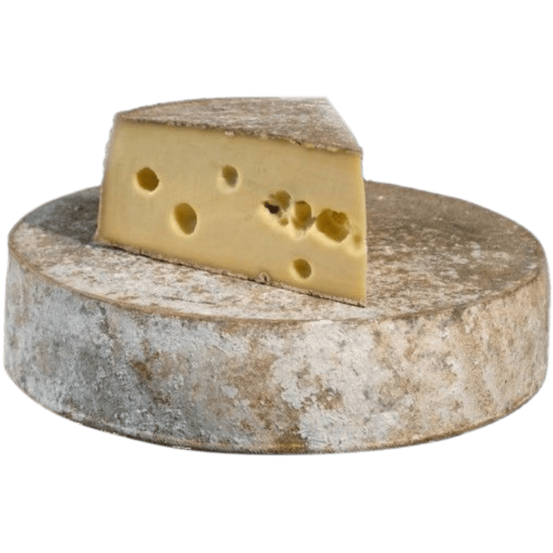 Tomme du jura - about 6 Kg