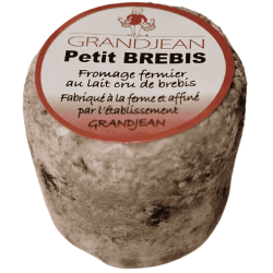 Petit brebis