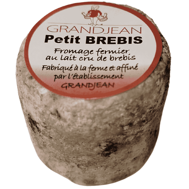 Petit brebis fermier